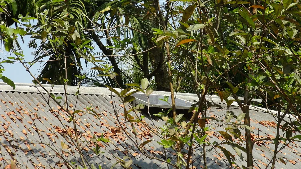 A small solar panel on a corrugated metal roof, half hidden behind tree branches, with leaf shadows across the roof.